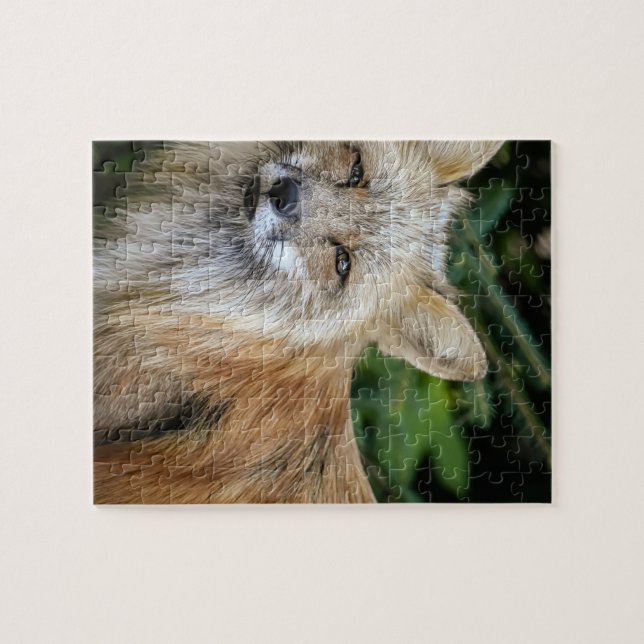 Puzzle Wild Fox (Horizontal)