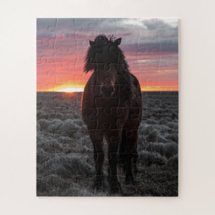 Puzzle Wild Mustang Horse in the Sunset
