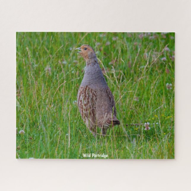 Puzzle Wild Partridge (Horizontal)