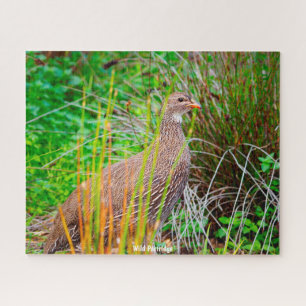 Puzzle Wild Partridge