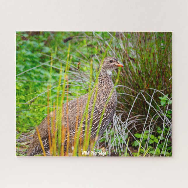 Puzzle Wild Partridge (Horizontal)