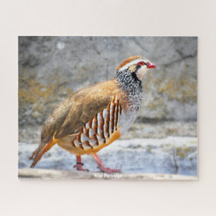 Puzzle Wild Partridge