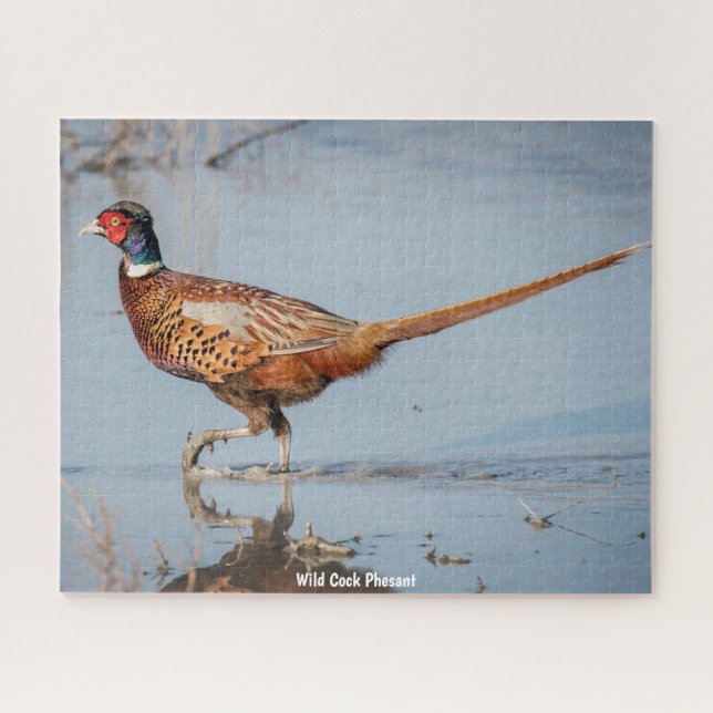 Puzzle Wild  Phesant (Horizontal)