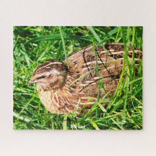 Puzzle Wild Quail