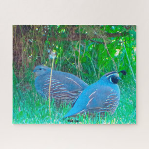 Puzzle Wild Quail