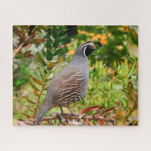 Puzzle Wild Quail