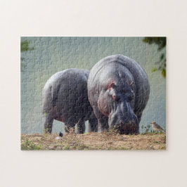 Puzzle Wildlife Hippo Photo