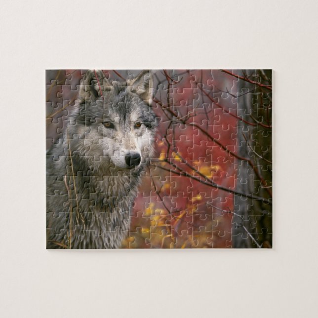 Puzzle Wildlife Puzzle-Wolf (Horizontal)