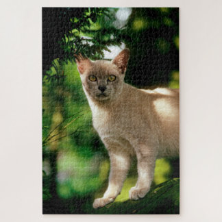 Puzzle Wilham.