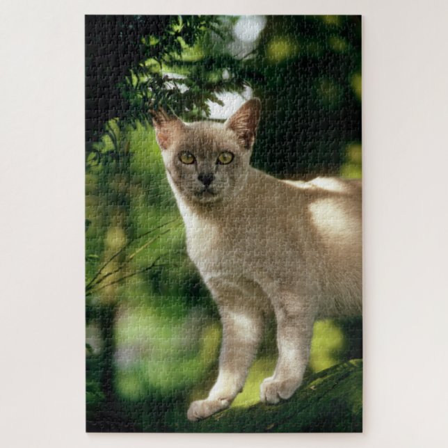 Puzzle Wilham. (Vertical)