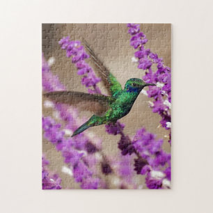 Puzzle Wings of Faith Sparkling Violet-ears Hummingbird