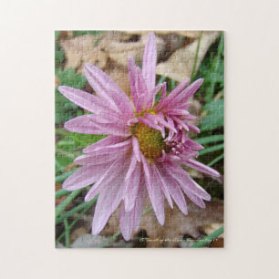 Puzzle ¡Wink rosa!