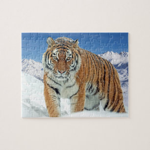 Puzzle Winter Snow Tiger Mountains Animal Nature