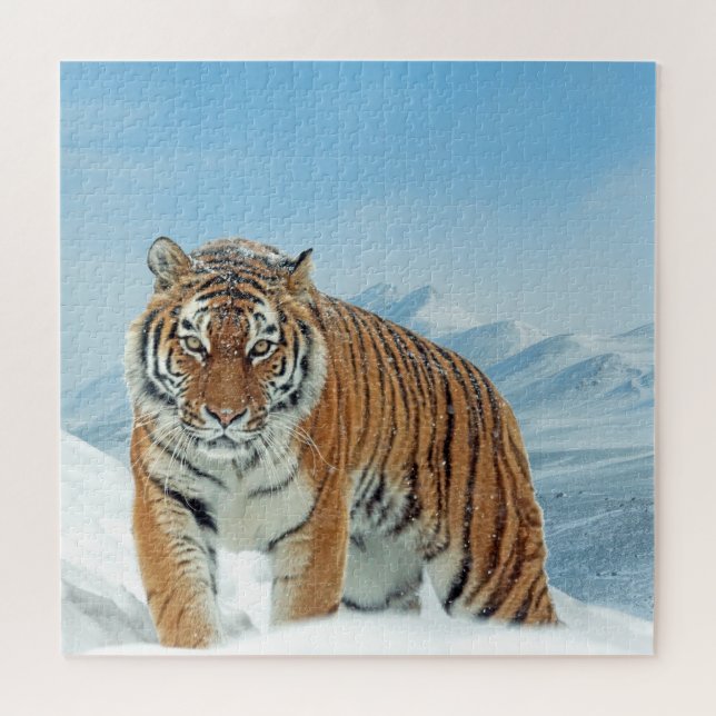 Puzzle Winter Snow Tiger Mountains Animal Photo Trendy (Horizontal)