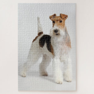 Puzzle Wire Fox Terrier Dog Photo