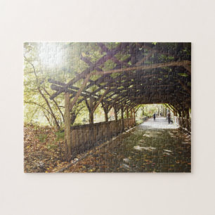 Puzzle Wisteria Pergola New York City Central Park NYC