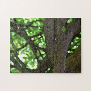 Puzzle Wisteria Verde Fotografía de la naturaleza del árb