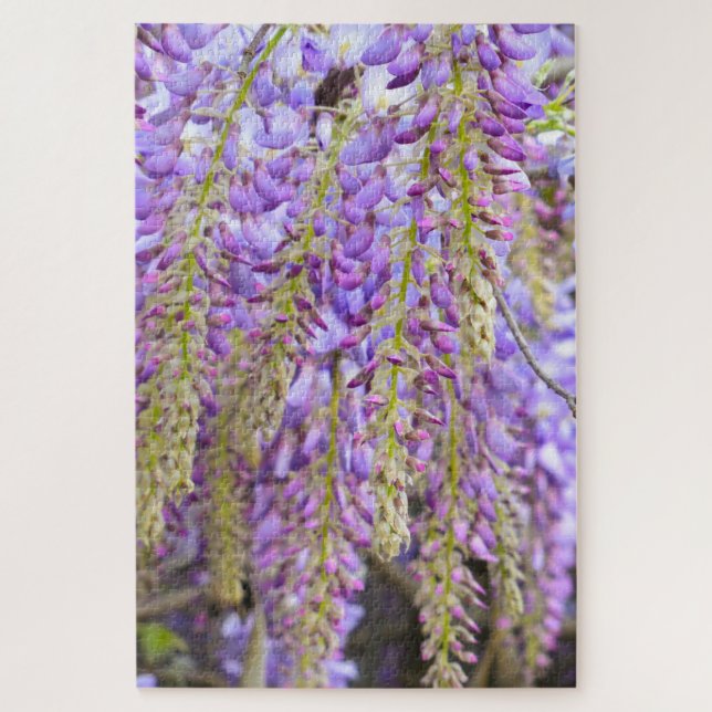 Puzzle Wisteria Violeta de árbol de flores moradas (Vertical)