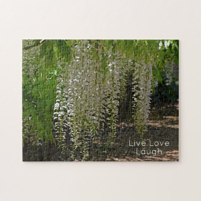 Puzzle Wisteria White Garden Flores viven la risa del amo (Horizontal)