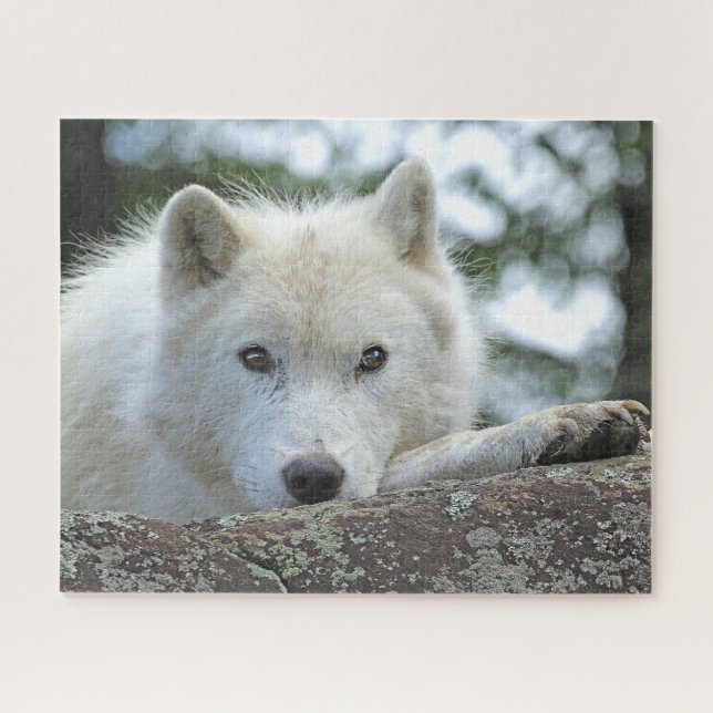 Puzzle WOLF ÁRTICO DE 16x20 PULGADAS (Horizontal)