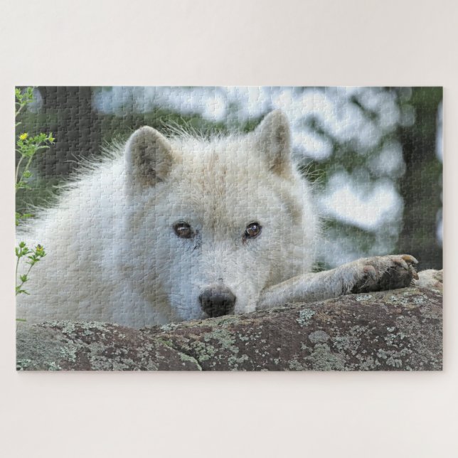 Puzzle WOLF ÁRTICO DE 20x30 PULGADAS (Horizontal)
