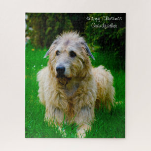 Puzzle Wolfhound irlandés.