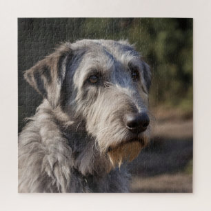 Puzzle Wolfhound Irlandés No Me Divirto,