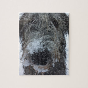 Puzzle wolfhound irlandés que juega en la nieve