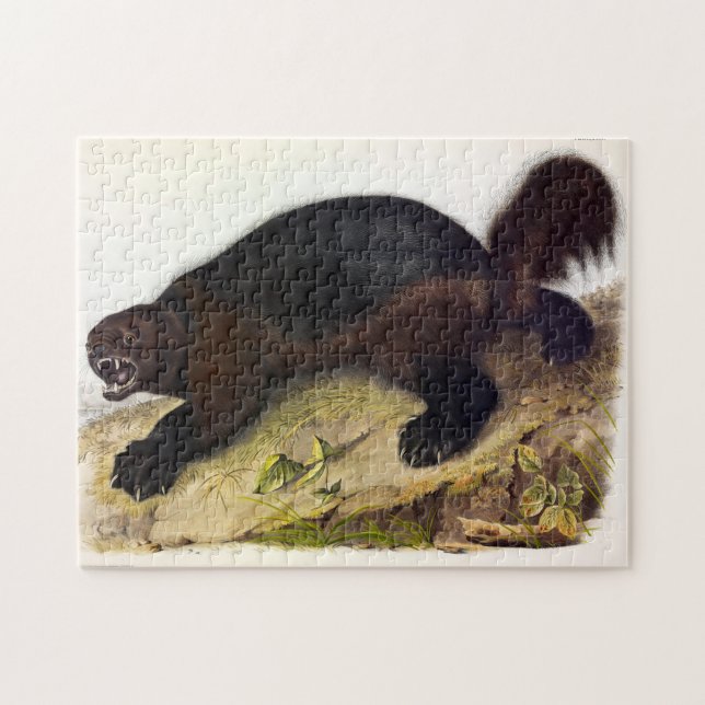 Puzzle Wolverine o Wolverene (Gulo gulo) de Audubon (Horizontal)