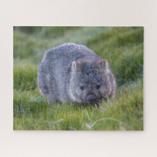Puzzle Wombat asombroso en la Australia de hierbas, 520 p