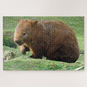 Puzzle wombat australiano