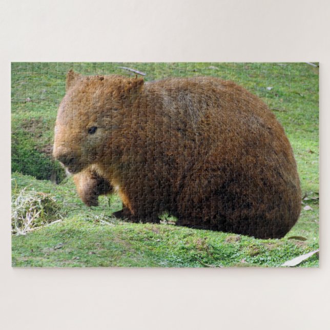 Puzzle wombat australiano (Horizontal)