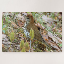 Puzzle Wood Thrush