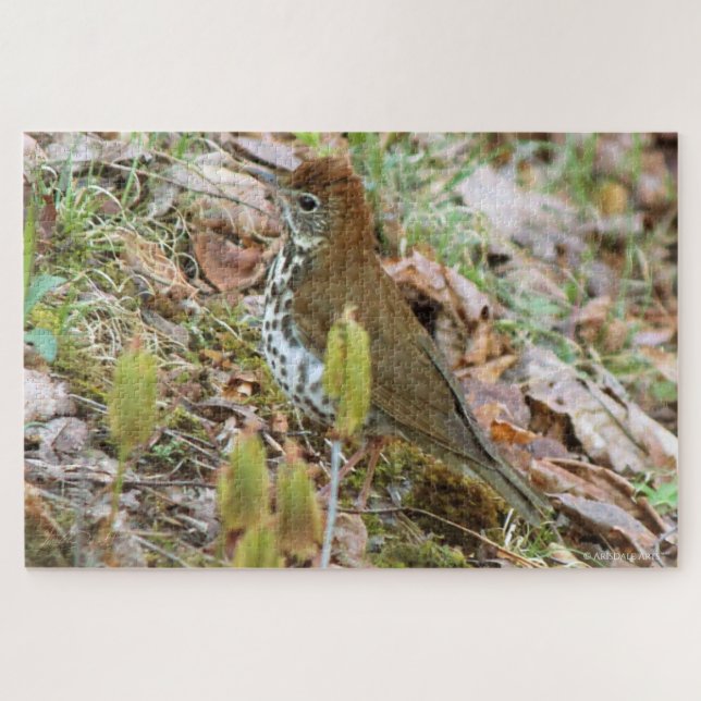 Puzzle Wood Thrush (Horizontal)