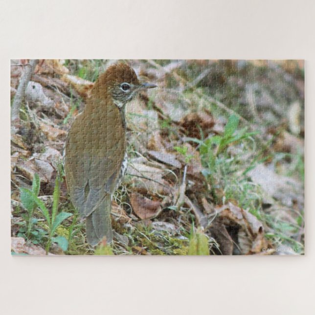 Puzzle Wood Thrush (Horizontal)