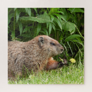 Puzzle Woodchuck AKA Groundhoug con flores