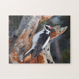 Puzzle "Woody Woodpecker" en el Parque Nacional de las Mo