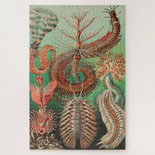 Puzzle Worms, Annelids Chaetopoda por Ernst Haeckel