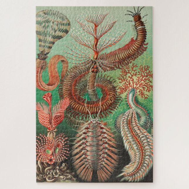 Puzzle Worms, Annelids Chaetopoda por Ernst Haeckel (Vertical)