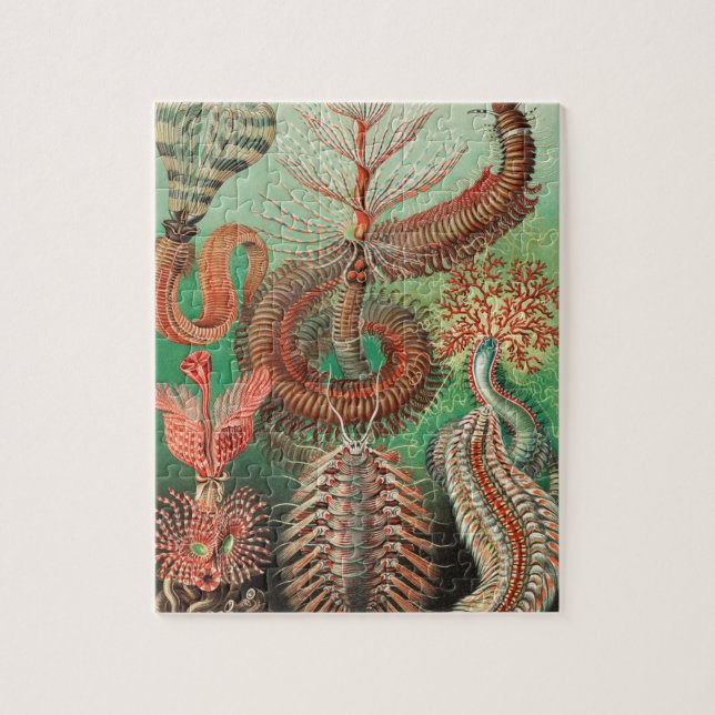 Puzzle Worms, Annelids Chaetopoda por Ernst Haeckel (Vertical)