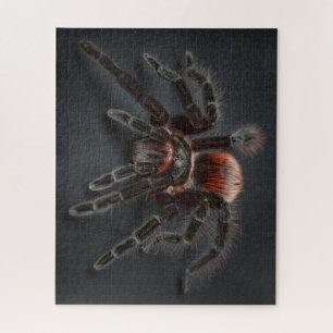 Puzzle WOW! Super Guay Tarantula Spider