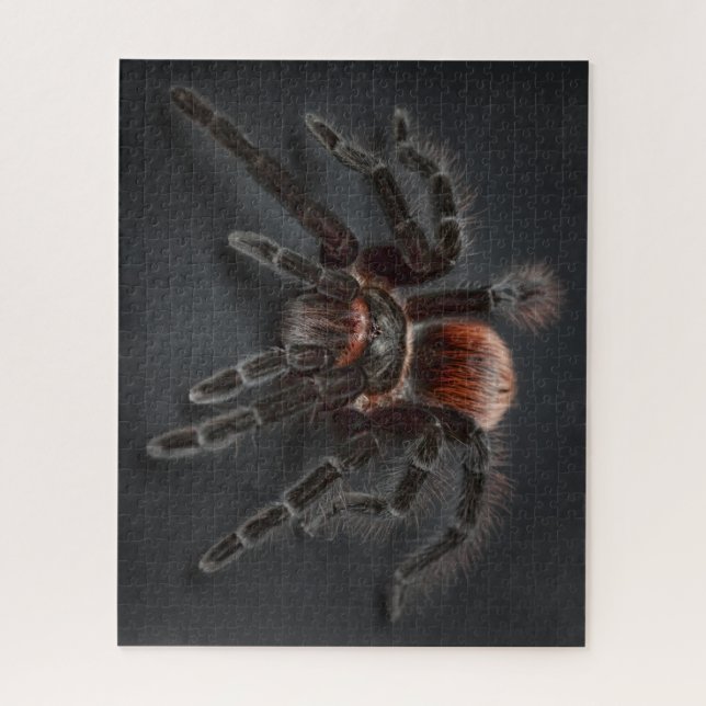Puzzle WOW! Super Guay Tarantula Spider (Vertical)