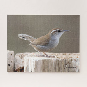 Puzzle Wren Songbird de Bewick sobre Treestump