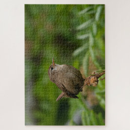 Puzzle Wren (Winterkoninkje)