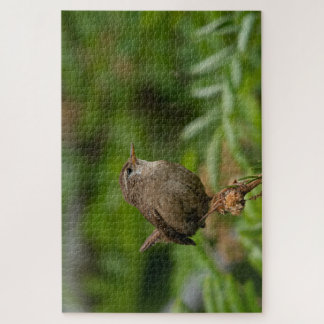 Puzzle Wren (Winterkoninkje)