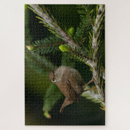 Puzzle Wren (Winterkoninkje)