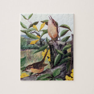 Puzzle Wrens de Carolina y Jessamine amarillo