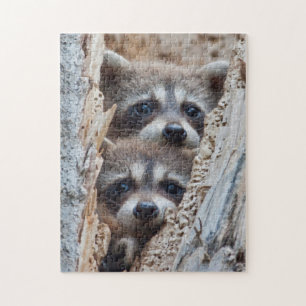 Puzzle Wyoming, condado de Lincoln, mapache