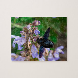 Puzzle Xylocopa violacea