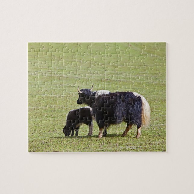 Puzzle Yak de vaca y ternera, Lijiang (Horizontal)